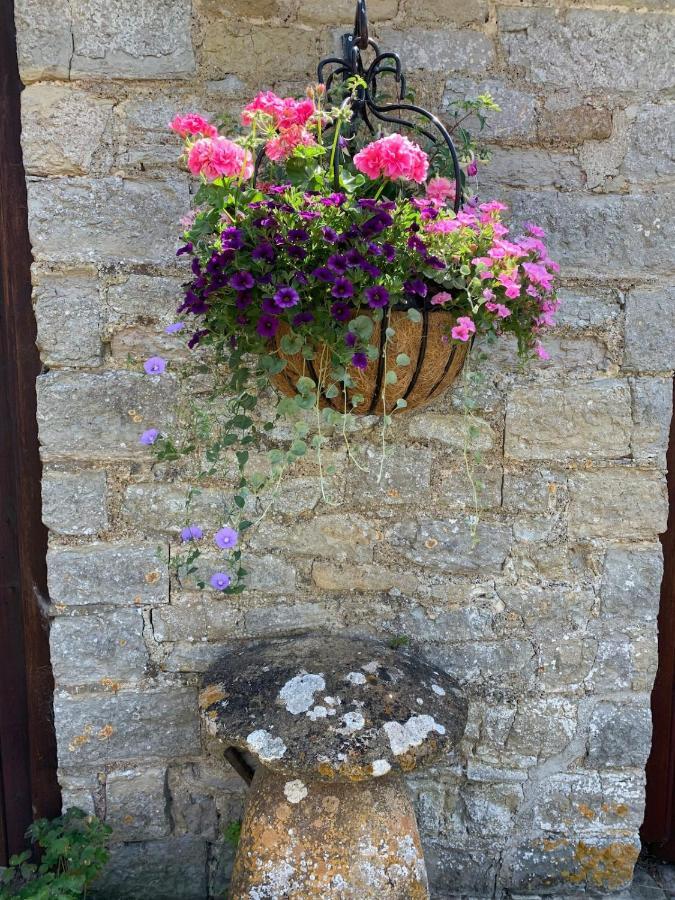 The Manor House, Curry Mallet Taunton Buitenkant foto